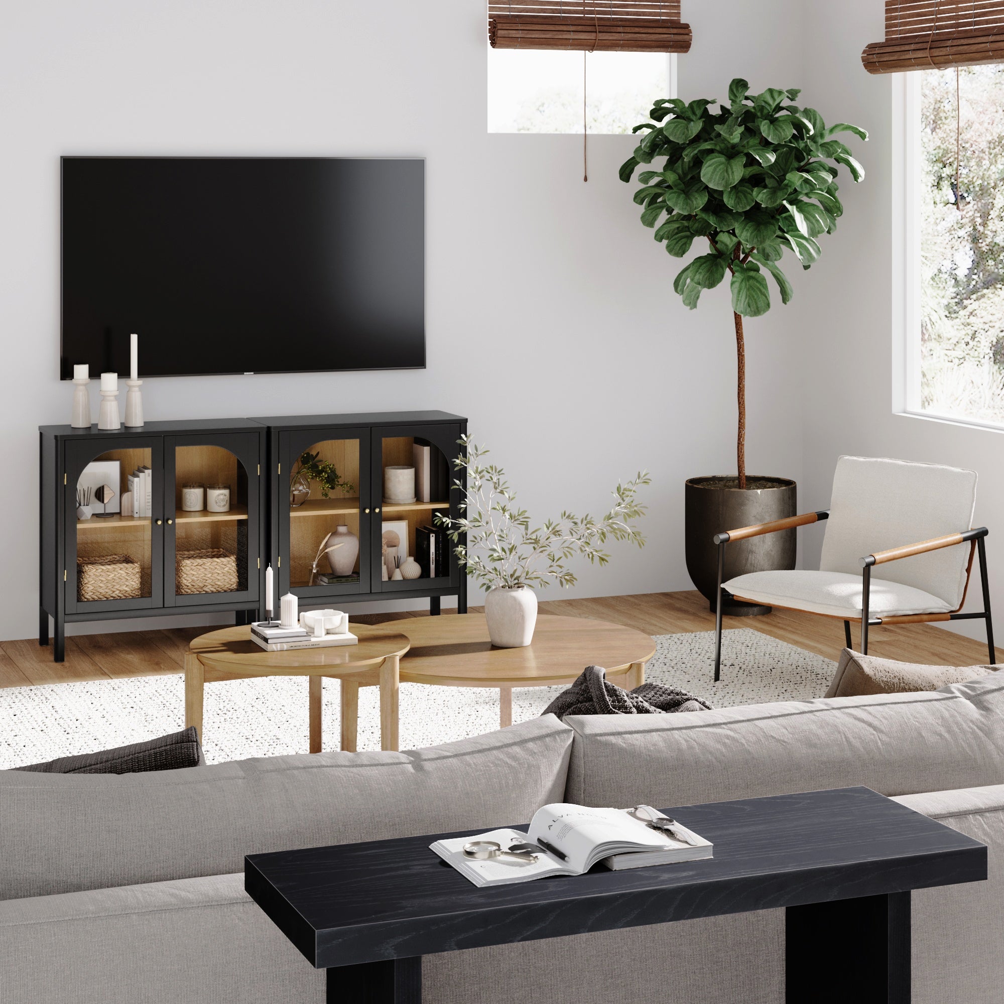 Arched Glass Door TV Console for 55 - 65" TVs Black - Nathan James