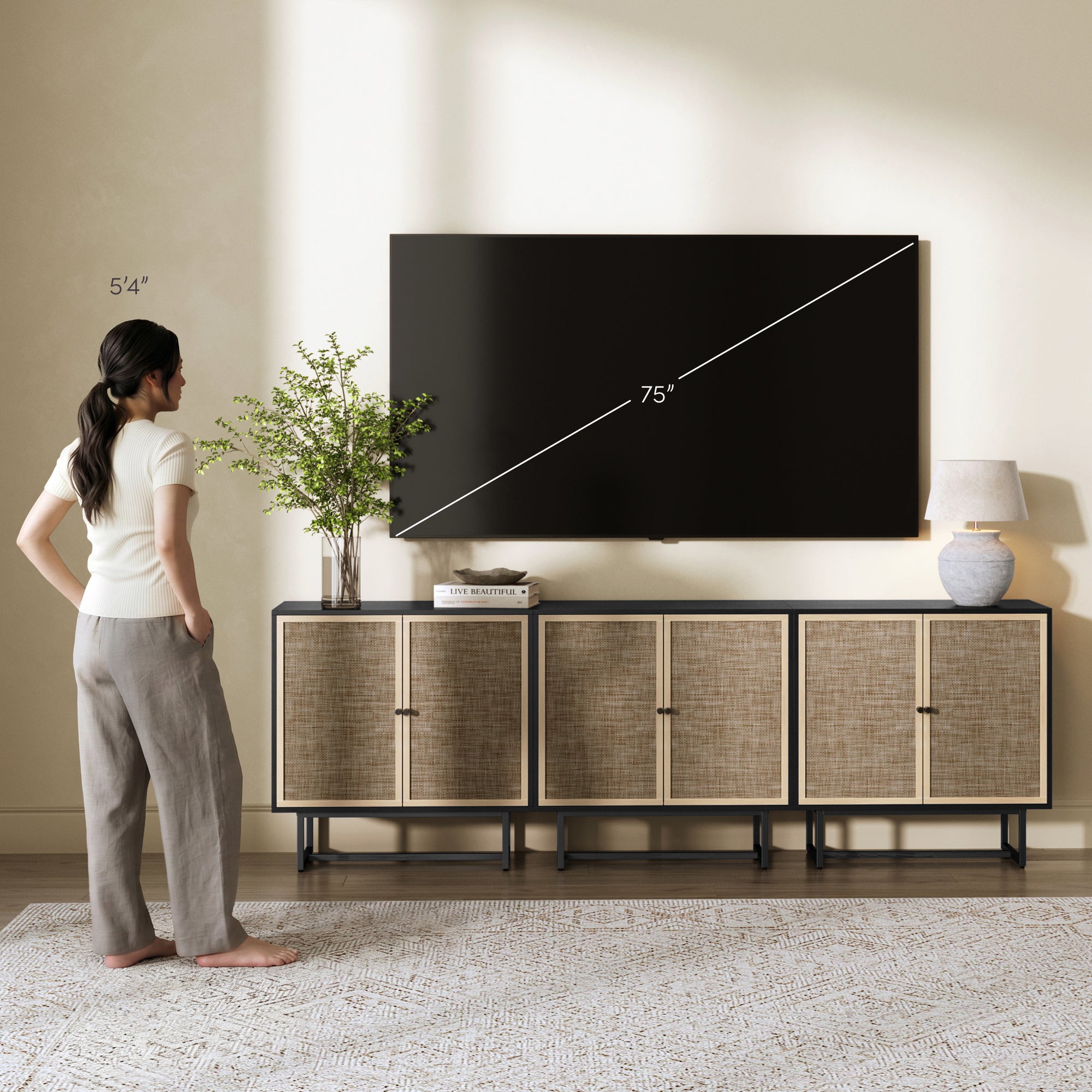 Metal and Rattan TV Stand Console for TVs up to 75" Black Oak - Nathan James