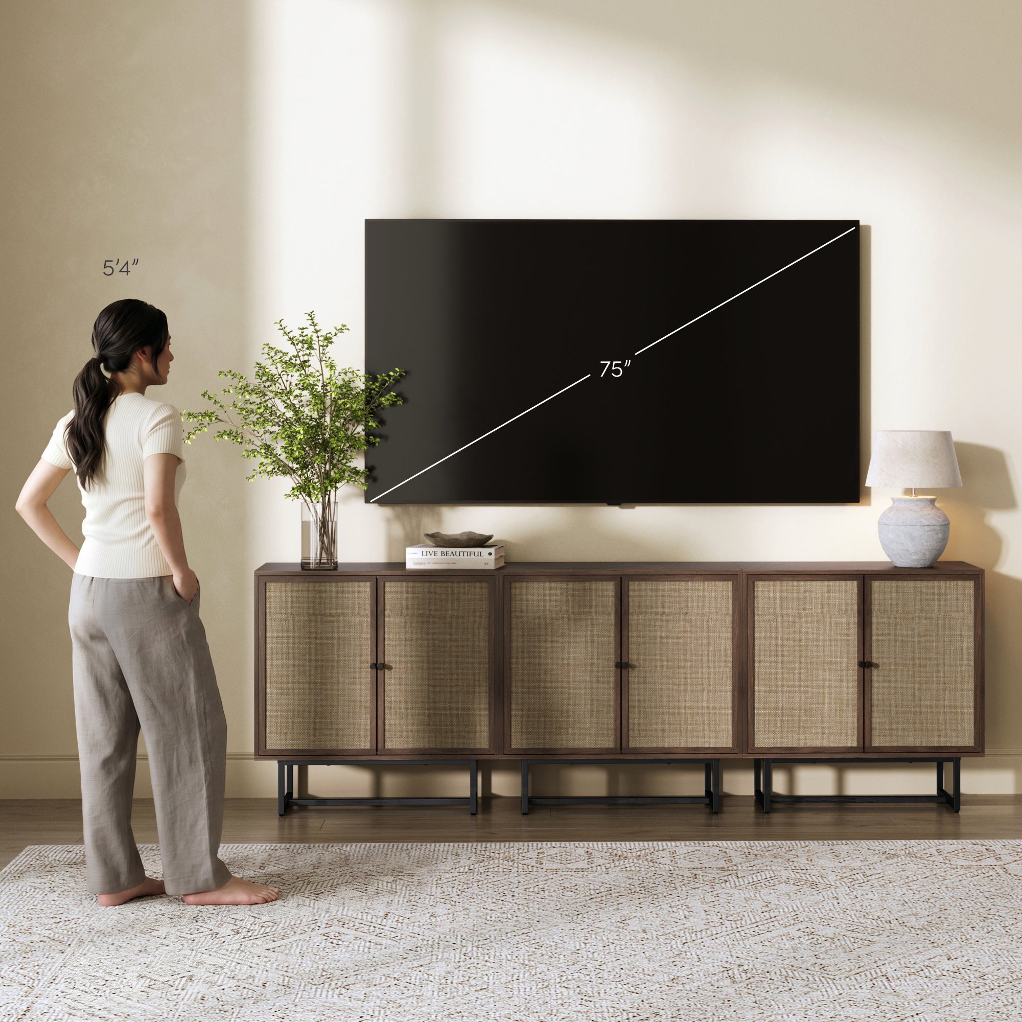Metal and Rattan TV Stand Console for TVs up to 75" Walnut - Nathan James