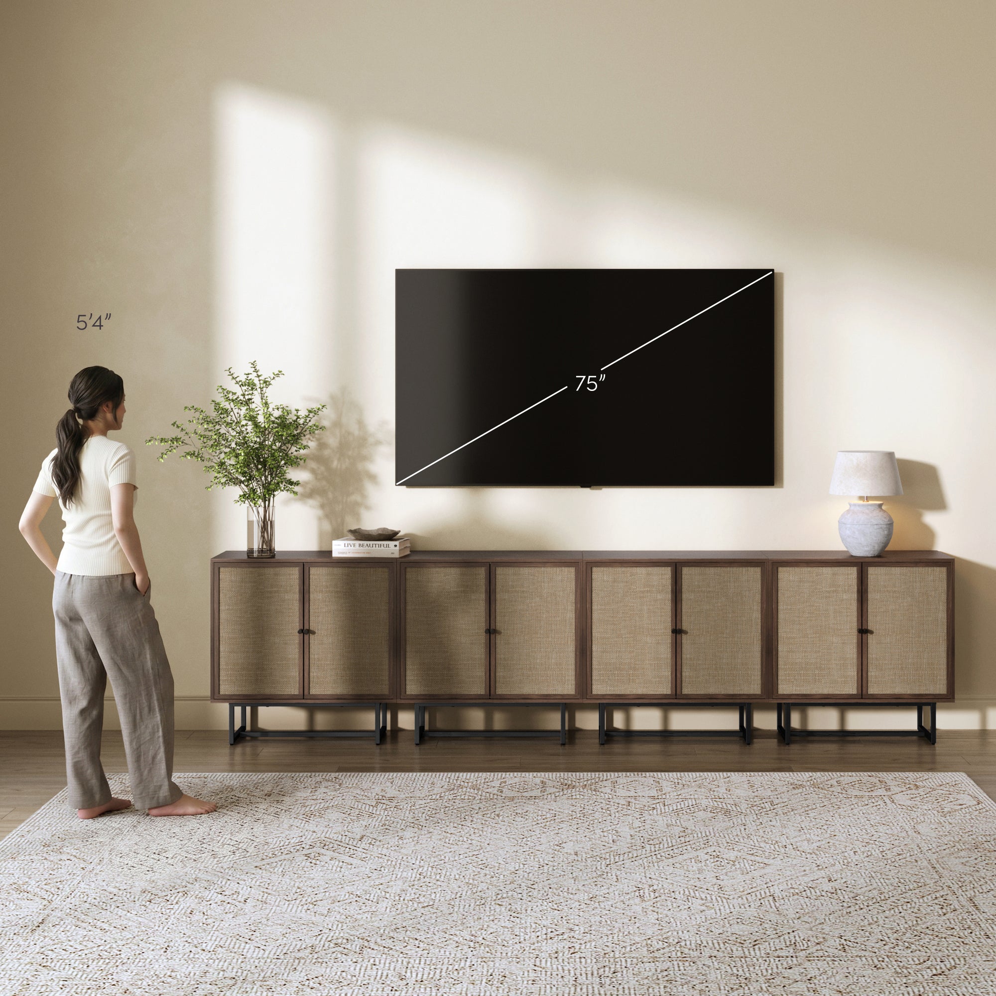Metal and Rattan TV Stand Console for TVs up to 100" Walnut - Nathan James