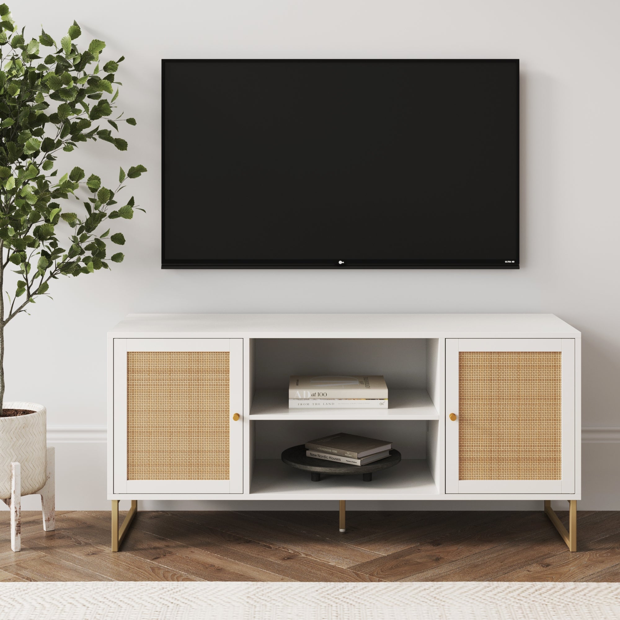 Rattan & Wood 2 - Door TV Cabinet White - Nathan James